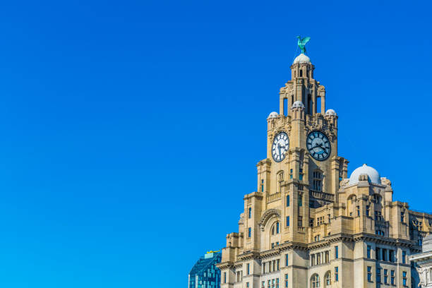 The royal liver building in Liverpool, England The royal liver building in Liverpool, England cunard building liverpool stock pictures, royalty-free photos & images