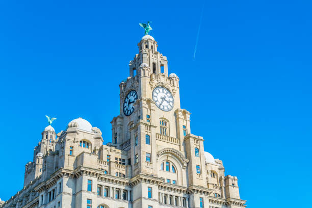 The royal liver building in Liverpool, England The royal liver building in Liverpool, England cunard building liverpool stock pictures, royalty-free photos & images