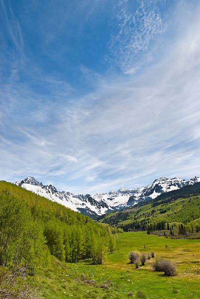 Dallas Creek Valley and the Sneffels Range The San Juans in southern Colorado are a high altitude range of mountains that straddle the Continental Divide.  The snow capped Sneffels Range was photographed from the Dallas Creek Valley in the Uncompahgre National Forest near Ridgway, Colorado, USA. jeff goulden aspen stock pictures, royalty-free photos & images