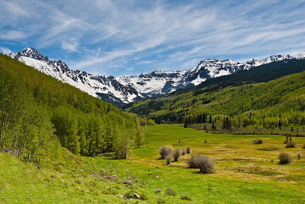 Dallas Creek Valley and the Sneffels Range The San Juans in southern Colorado are a high altitude range of mountains that straddle the Continental Divide. The snow capped Sneffels Range was photographed from the Dallas Creek Valley in the Uncompahgre National Forest, Colorado, USA. jeff goulden aspen stock pictures, royalty-free photos & images