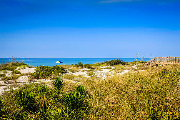 le dune di sabbia al pubblico a venice beach, florida - venice foto e immagini stock