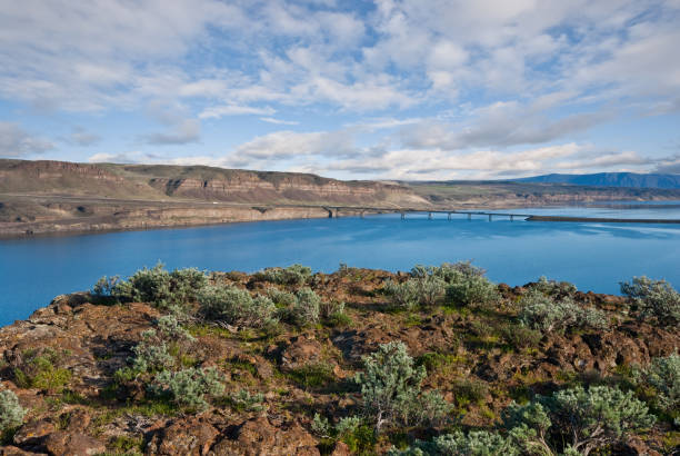 The Columbia River Bridge at Vantage The scablands of central Washington with their rolling hillsides and basalt canyons offer some of the most colorful landscapes in the state. The Columbia River area has many such side canyons. This scene of the Vantage Bridge from the high bluffs overlooking the river was photographed at Ginkgo Petrified Forest State Park near Vantage, Washington State, USA. jeff goulden washington state desert stock pictures, royalty-free photos & images