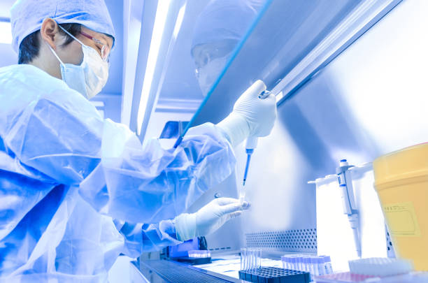 The scientist working in the CDC laboratory stock photo