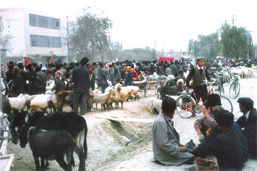 In Xinjiang, the great market is called Bazaar.Unlike ordinary market,Bazaar usually runs one day a week.Every city, county and township has Bazaar.shepherds are selling the sheep in Yutian Bazaar.Film was photo on  October 16,1996, in the Yutian County , Xinjiang, China