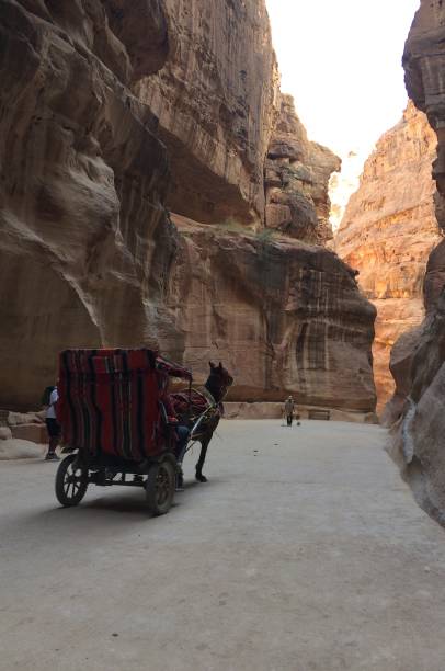 The Siq in Petra, Jordan stock photo