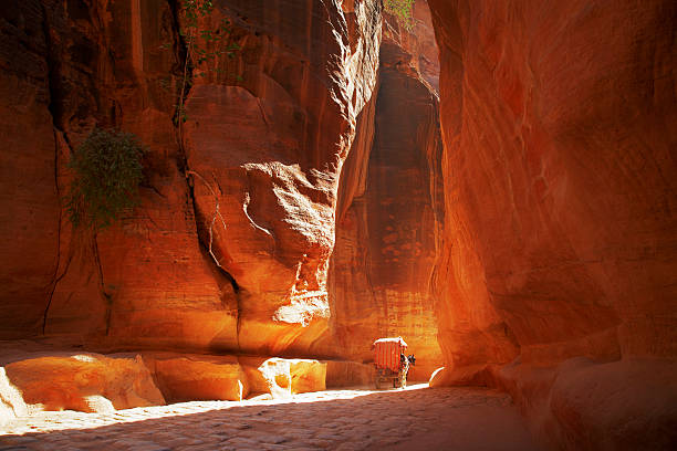 The Siq in Petra, Jordan with horse and carriage stock photo