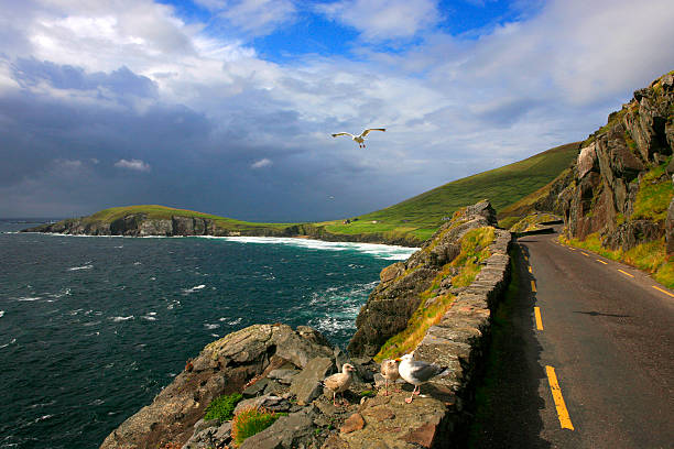 The Slea Head Drive - Ireland The Slea Head Drive (Slí Cheann Sléibhe) is a circular route, forming part of the Wild Atlantic Way, beginning and ending in Dingle, that takes in a large number of attractions and stunning views on the western end of the peninsula.  wild atlantic way stock pictures, royalty-free photos & images