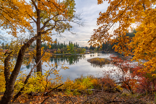 The small beach and swimming hole area at Plantes Ferry Park in the Spokane Valley area of Spokane, Washington, USA at Autumn. Part of the Centennial Trail