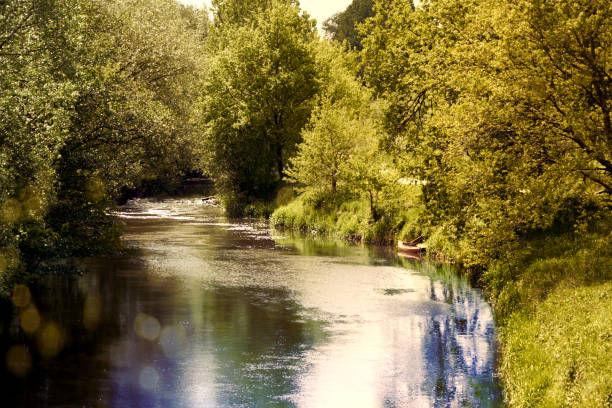 The small river Aller near Gifhorn in Germany in bright sunlight with a canoe for a boat trip, backlight with sun flare stock photo