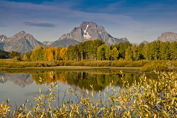 The Tetons and Fall Colors The Snake River flows quietly through the Jackson Hole Valley. In many places the water is so calm and glassy that a perfect reflection of the Teton Range is often seen. This picture of the Tetons and fall foliage was taken from Oxbow Bend, a very popular place for photographers. Oxbow Bend is in Grand Teton National Park near Jackson, Wyoming, USA. jeff goulden aspen stock pictures, royalty-free photos & images
