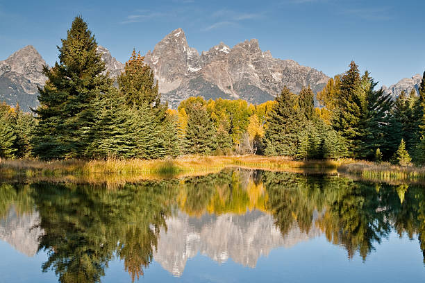 Early Morning Reflection of the Teton Range The Snake River flows quietly through the Jackson Hole Valley. In many places the water is so calm and glassy that a perfect reflection of the Teton Range is often seen. This picture of the Tetons and fall foliage was taken from Schwabacher Landing, a very popular place for photographers. Schwabacher Landing is in Grand Teton National Park near Jackson, Wyoming, USA. jeff goulden grand teton national park stock pictures, royalty-free photos & images