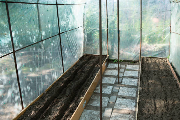 The soil on the high bed in the greenhouse is prepared for planting plant seeds. stock photo