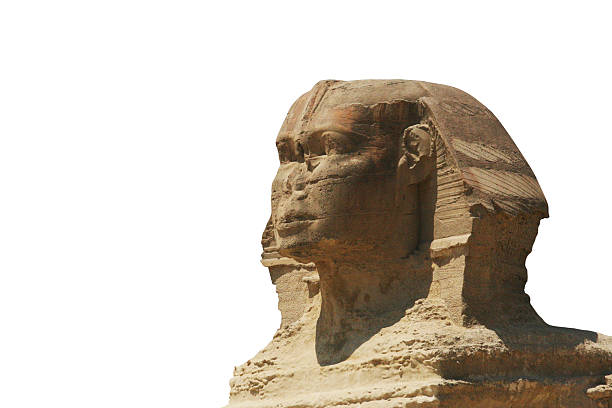 The sphinx Close-up of the sphinx in Giza, Egypt sphinx stock pictures, royalty-free photos & images
