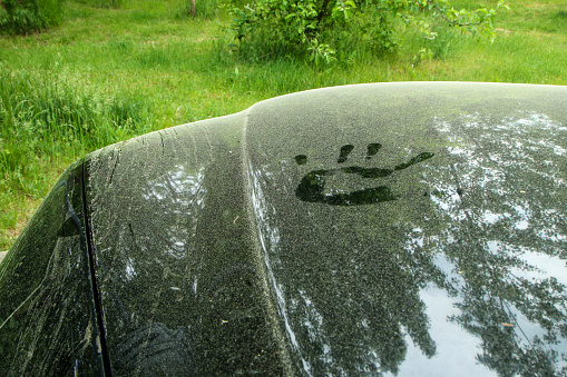 The spring detail of a car dirty from pollen. Imprint of the hand is visible.