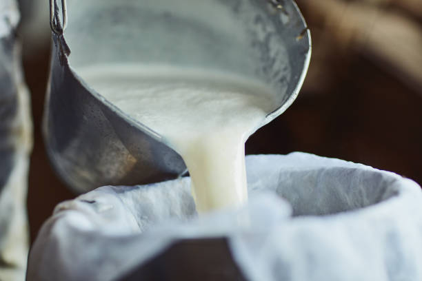 de stappen voor het maken van kaas - melk stockfoto's en -beelden