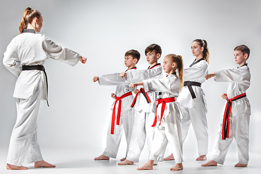 The Studio Shot Of Group Of Kids Training Karate Martial