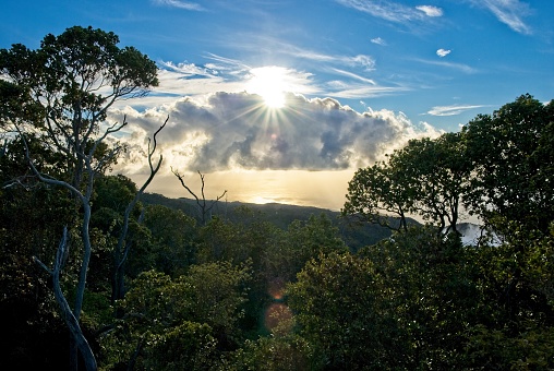 The sun lowers in the sky over the dense vegetation on the northwest shore of Kauai near Pu’u O Kila Lookout. Scenic view on the north side of Kauai above the Na Pali cliffs with the Pacific ocean in the distance.