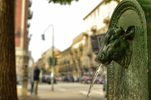 Turin, Piedmont region, Italy. May 2018. The symbolic fountain of Turin, the torello or turet in Piedmontese. They are found in every corner of the city, almost always colored green, sometimes gray.