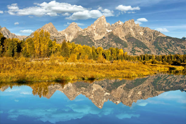 The Teton Range Reflected in the Snake River The Snake River flows quietly through the Jackson Hole Valley.  In many places the water is so calm and glassy that a perfect reflection of the Teton Range is often seen.  This picture of the Tetons and fall foliage was taken from Schwabacher Landing, a very popular place for photographers. Schwabacher Landing is in Grand Teton National Park near Jackson, Wyoming, USA. jeff goulden grand teton national park stock pictures, royalty-free photos & images