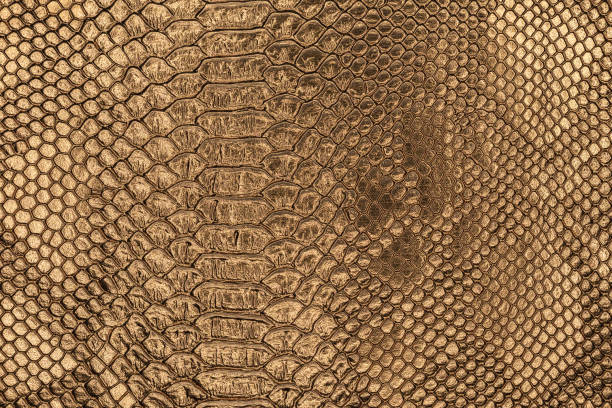 The textured background of a fake snakeskin texture. Golden scale pattern of a reptile stock photo