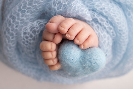 The tiny foot of a newborn baby. Soft feet of a new born in a light blue blanket. Close up of toes, heels and feet of a newborn. Knitted blue heart in the legs of a baby. Studio macro photography