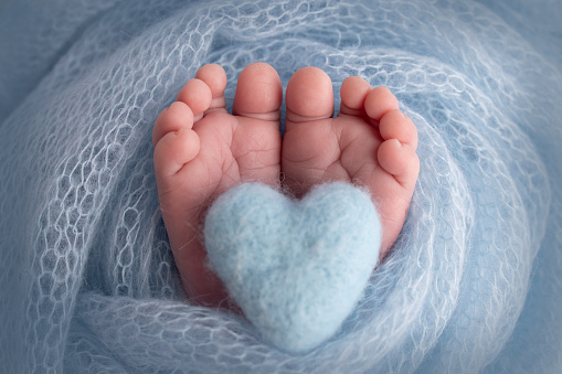The tiny foot of a newborn baby. Soft feet of a new born in a light blue blanket. Close up of toes, heels and feet of a newborn. Knitted blue heart in the legs of a baby. Studio macro photography