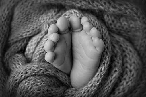 The tiny foot of a newborn. Soft feet of a newborn in a woolen blanket. Close up of toes, heels and feet of a newborn baby. Studio Macro photography. Black and white photo. High quality photo