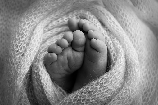The tiny foot of a newborn. Soft feet of a newborn in a woolen blanket. Close up of toes, heels and feet of a newborn baby. Studio Macro photography. Black and white photo