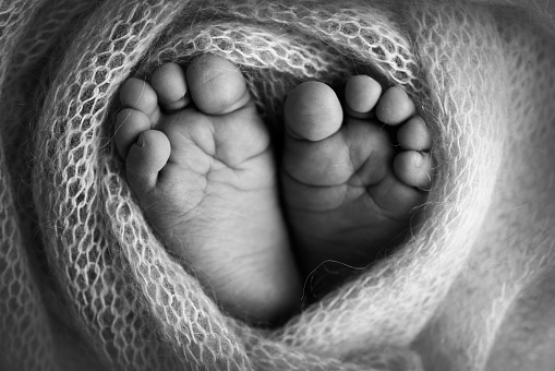 The tiny foot of a newborn. Soft feet of a newborn in a woolen blanket. Close up of toes, heels and feet of a newborn baby. Studio Macro photography. Black and white photo