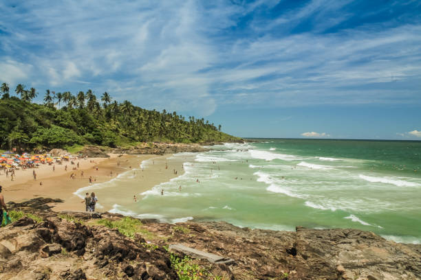 The tropical beauty of northeastern Brazil stock photo