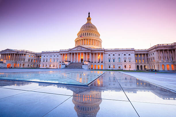 The United States Capitol building The United States Capitol building with the dome lit up at night. architectural dome photos stock pictures, royalty-free photos & images
