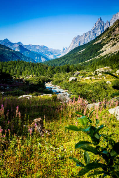 The Valley of Lavachey Italy stock photo