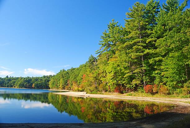 The Walden Pond near Concord, MA stock photo