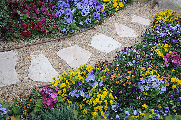 The walkway at a botanical garden [b]Botanical garden with colorful flowers.(horticulture)[/b]

[url=http://www.istockphoto.com/file_search.php?action=file&amp;lightboxID=4265377]for more pictures of flowers - click here[/url]

[img]http://www.istockphoto.com/file_thumbview_approve.php?size=1&amp;id=6310378
[/img]  [img]http://www.istockphoto.com/file_thumbview_approve.php?size=1&amp;id=6308676
[/img]
[img]http://www.istockphoto.com/file_thumbview_approve.php?size=1&amp;id=6244886
[/img]  [img]http://www.istockphoto.com/file_thumbview_approve.php?size=1&amp;id=6244493
[/img] [url=file_closeup.php?id=5813934][img]file_thumbview_approve.php?size=1&amp;id=5813934[/img][/url] [url=file_closeup.php?id=7463616][img]file_thumbview_approve.php?size=1&amp;id=7463616[/img][/url] [url=file_closeup.php?id=7387042][img]file_thumbview_approve.php?size=1&amp;id=7387042[/img][/url] [url=file_closeup.php?id=7366607][img]file_thumbview_approve.php?size=1&amp;id=7366607[/img][/url] [url=file_closeup.php?id=7365019][img]file_thumbview_approve.php?size=1&amp;id=7365019[/img][/url] [url=file_closeup.php?id=7361009][img]file_thumbview_approve.php?size=1&amp;id=7361009[/img][/url] [url=file_closeup.php?id=7360954][img]file_thumbview_approve.php?size=1&amp;id=7360954[/img][/url] [url=file_closeup.php?id=7357639][img]file_thumbview_approve.php?size=1&amp;id=7357639[/img][/url] [url=file_closeup.php?id=8641641][img]file_thumbview_approve.php?size=1&amp;id=8641641[/img][/url] [url=file_closeup.php?id=7768075][img]file_thumbview_approve.php?size=1&amp;id=7768075[/img][/url] [url=file_closeup.php?id=7767601][img]file_thumbview_approve.php?size=1&amp;id=7767601[/img][/url] [url=file_closeup.php?id=6447300][img]file_thumbview_approve.php?size=1&amp;id=6447300[/img][/url] [url=file_closeup.php?id=6135179][img]file_thumbview_approve.php?size=1&amp;id=6135179[/img][/url] [url=file_closeup.php?id=7341377][img]file_thumbview_approve.php?size=1&amp;id=7341377[/img][/url] [url=file_closeup.php?id=6310378][img]file_thumbview_approve.php?size=1&amp;id=6310378[/img][/url] gravel stock pictures, royalty-free photos & images