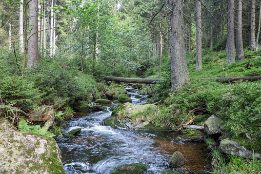 The waterfall on river in Harz, Germany