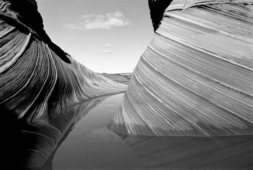The Wave with Water Reflections #1 in Coyote Buttes Area of Vermilion Cliffs National Monument on Arizona Utah border USA.  In black and white film.  Passing high cloud.  Original film image.  It is a softer image than variations that I gave more sharp lines.  Sand dune layers turned to stone.