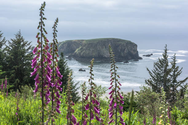 The Whalehead Island, Oregon stock photo