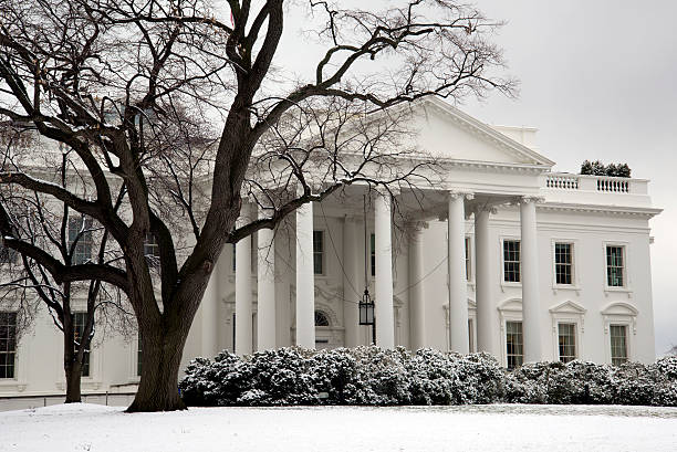 The White House, Washington, D.C. stock photo