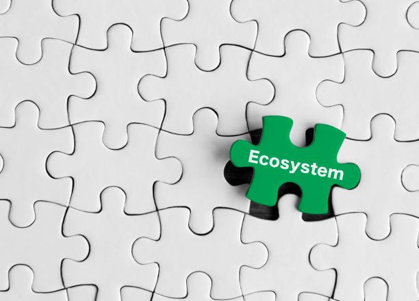 The word ecosystem surrounded by puzzle pieces stock photo