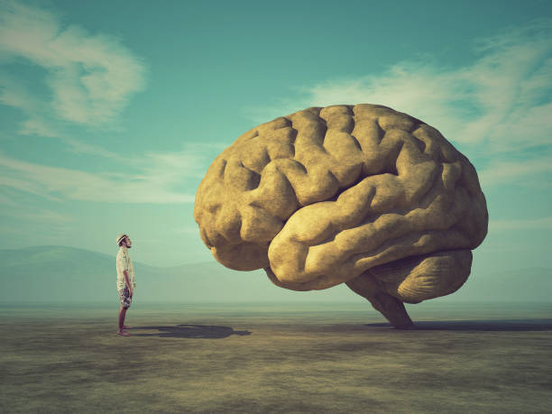 The young and conceptual image of a large stone in the shape of the human brain stock photo