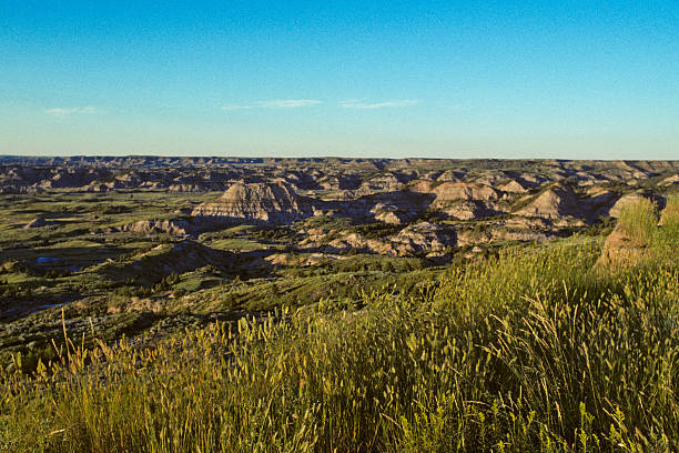 The Badlands at Sunset Theodore Roosevelt National Park lies where the Great Plains meet the rugged Badlands near Medora, North Dakota, USA. The park's 3 units, linked by the Little Missouri River is a habitat for bison, elk and prairie dogs. The park's namesake, President Teddy Roosevelt once lived in the Maltese Cross Cabin which is now part of the park. This picture of the badlands at sunset was taken from the Painted Canyon Overlook. jeff goulden badlands stock pictures, royalty-free photos & images