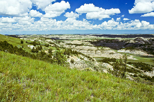 Badland Canyon, Meadow and Cloud Formation Theodore Roosevelt National Park lies where the Great Plains meet the rugged Badlands near Medora, North Dakota, USA. The park's 3 units, linked by the Little Missouri River is a habitat for bison, elk and prairie dogs. The park's namesake, President Teddy Roosevelt once lived in the Maltese Cross Cabin which is now part of the park. This picture of a prairie grassland was taken from the Scenic Loop Drive. jeff goulden badlands stock pictures, royalty-free photos & images