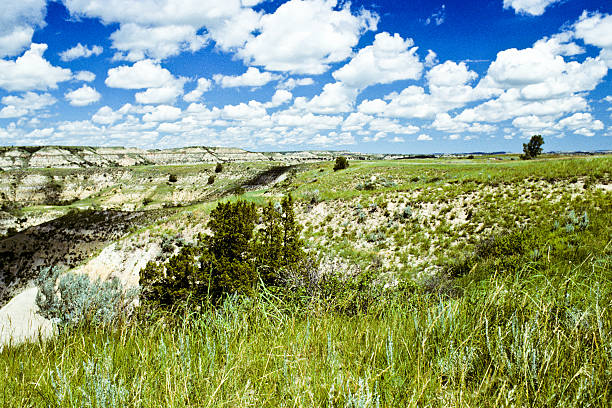 Cloud Formation Over a Badland Canyon Theodore Roosevelt National Park lies where the Great Plains meet the rugged Badlands near Medora, North Dakota, USA. The park's 3 units, linked by the Little Missouri River is a habitat for bison, elk and prairie dogs. The park's namesake, President Teddy Roosevelt once lived in the Maltese Cross Cabin which is now part of the park. This picture of a prairie grassland was taken from the Scenic Loop Drive. jeff goulden theodore roosevelt national park stock pictures, royalty-free photos & images