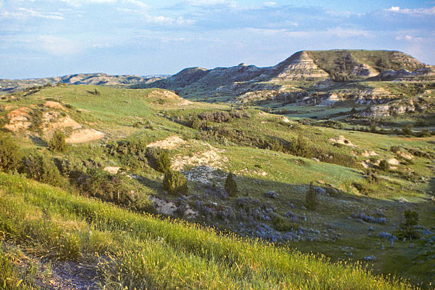 The Badlands at Sunset Theodore Roosevelt National Park lies where the Great Plains meet the rugged Badlands near Medora, North Dakota, USA. The park's 3 units, linked by the Little Missouri River is a habitat for bison, elk and prairie dogs. The park's namesake, President Teddy Roosevelt once lived in the Maltese Cross Cabin which is now part of the park. This picture of the badlands at sunset was taken from Golden Valley County, just outside the national park. jeff goulden scanned film stock pictures, royalty-free photos & images