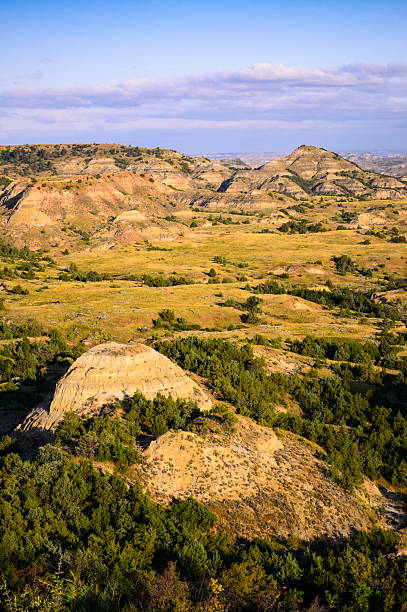Theodore Roosevelt National Park, Theodore Roosevelt National Park theodore roosevelt national park stock pictures, royalty-free photos & images