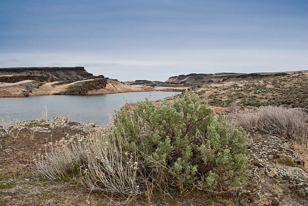 Corral Lake in the Eastern Washington Potholes There are many pothole lakes and ponds in the scablands of Central Washington. Corral Lake is in the Columbia National Wildlife Refuge near Othello, Washington State, USA. jeff goulden washington state desert stock pictures, royalty-free photos & images