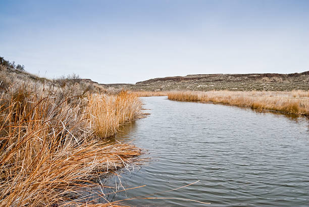 Pothole Marsh Surrounded by Dead Grasses There are many pothole lakes and ponds in the scablands of Central Washington. Frog Lake is in the Columbia National Wildlife Refuge near Othello, Washington State, USA. jeff goulden washington state desert stock pictures, royalty-free photos & images
