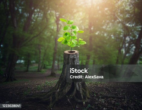 istock There is hope 1223028041