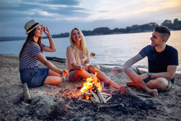 These are going to be delicious! Shot of a group of cheerful young friends holding up marshmallows on sticks over a fire by the river bonfire stock pictures, royalty-free photos & images