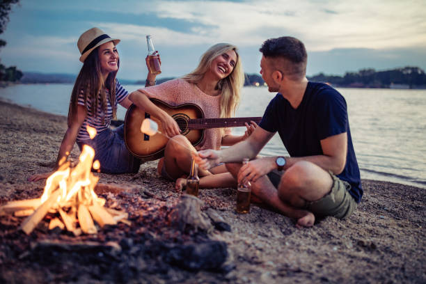 594 Beach Fire Beer Stock Photos, Pictures &amp; Royalty-Free Images - iStock